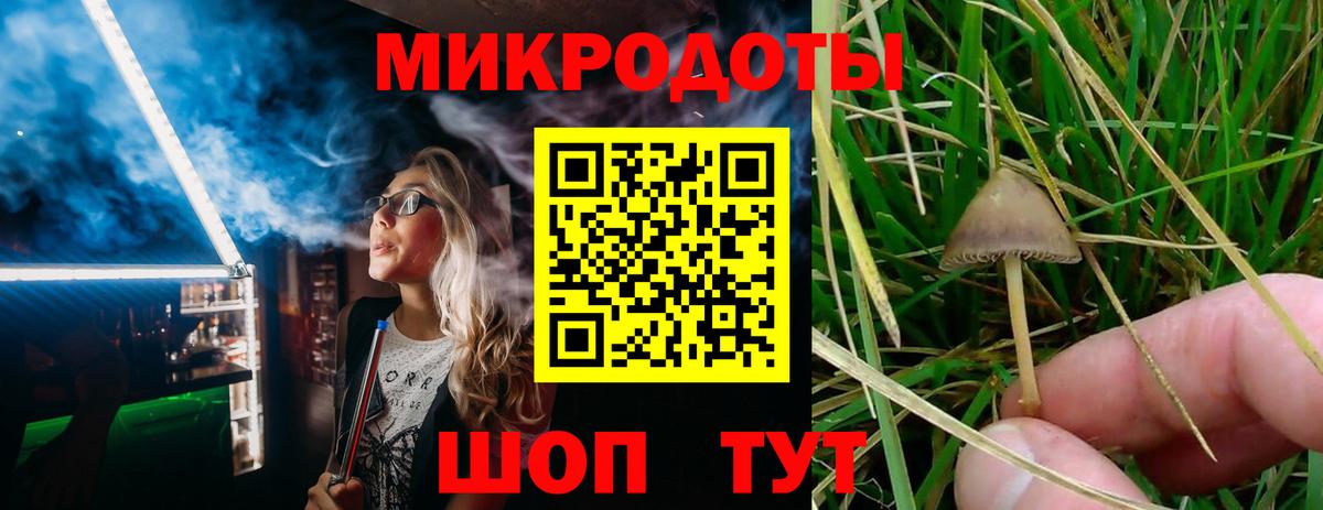 Электрогорск  Галлюциногенные грибы мицелий  Вход с VPN 